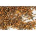 СЕМЕНА РУККОЛА ДИКАЯ "СИЛЬВЕТТА", 1 Г LEDAAGRO