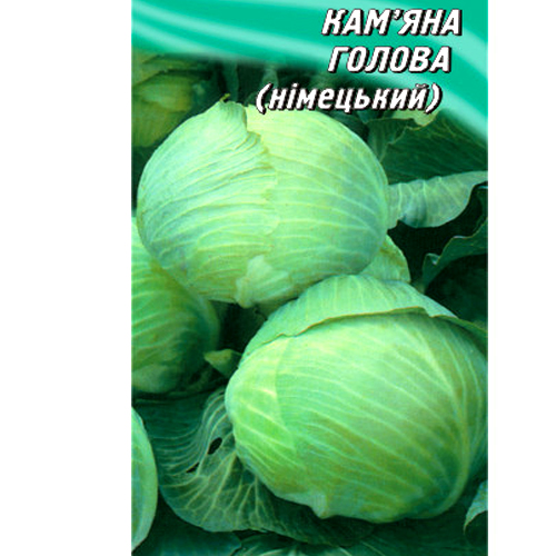 СЕМЕНА КАПУСТА БЕЛОКОЧАННАЯ "КАМЕННАЯ ГОЛОВА" (ГЕРМ.), 100 ШТ. ГЕЛИОС
