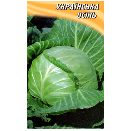 СЕМЕНА КАПУСТА БЕЛОКОЧАННАЯ "УКРАИНСКАЯ ОСЕНЬ", 150 ШТ. ГЕЛИОС