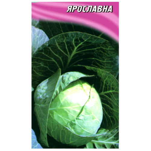 СЕМЕНА КАПУСТА БЕЛОКОЧАННАЯ "ЯРОСЛАВНА", 150 ШТ. ГЕЛИОС