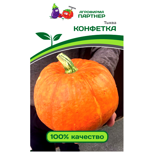 СЕМЕНА ТЫКВА "КОНФЕТКА", 5 ШТ. ТМ ПАРТНЕР