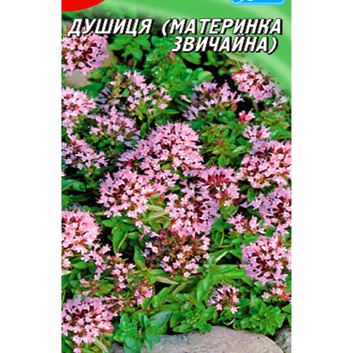 СЕМЕНА ДУШИЦА ОБЫЧНАЯ (МАТЕРИНКА), 300 ШТ. ГЕЛИОС