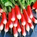 СЕМЕНА РЕДИС 18 ДНЕЙ 3 Г НК ЭЛИТ