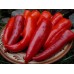 СЕМЕНА ПЕРЕЦ СЛАДКИЙ "ГОРН", 0.25 Г GL SEEDS СЕМЕНА ПЕРЕЦ СЛАДКИЙ "ГОРН", 0.25 Г GL SEEDS