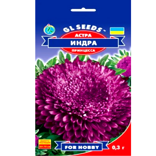СЕМЕНА АСТРА "ИНДРА", 0.3 Г GL SEEDS