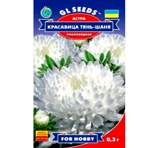 СЕМЕНА АСТРА "КРАСАВИЦА ТЯНЬ-ШАНЯ", 0.3 Г GL SEEDS
