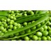СЕМЕНА ГОРОХ СОМЕРВУД 20 ШТ. LEDAAGRO