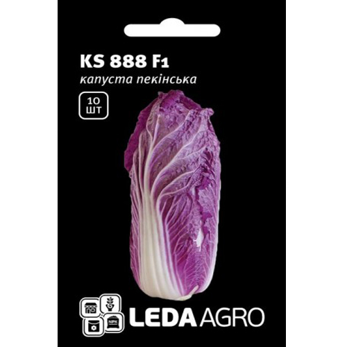 СЕМЕНА КАПУСТА ПЕКИНСКАЯ "KS 888 F1", 10 ШТ. LEDAAGRO