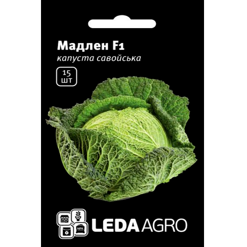 СЕМЕНА КАПУСТА САВОЙСКАЯ "МАДЛЕН F1", 15 ШТ. LEDAAGRO