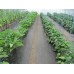АГРОВОЛОКНО ЧЕРНОЕ 50 Г/М2 1,07*5 М, GROWTEX АГРОВОЛОКНО ЧЕРНОЕ 50 Г/М2 1,07*5 М, GROWTEX