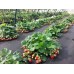 АГРОВОЛОКНО ЧЕРНОЕ 50 Г/М2 1,07*5 М, GROWTEX АГРОВОЛОКНО ЧЕРНОЕ 50 Г/М2 1,07*5 М, GROWTEX