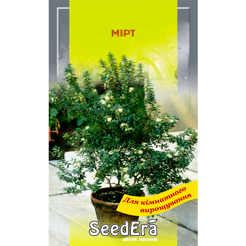 СЕМЕНА МИРТ, 5 ШТ SEEDERA