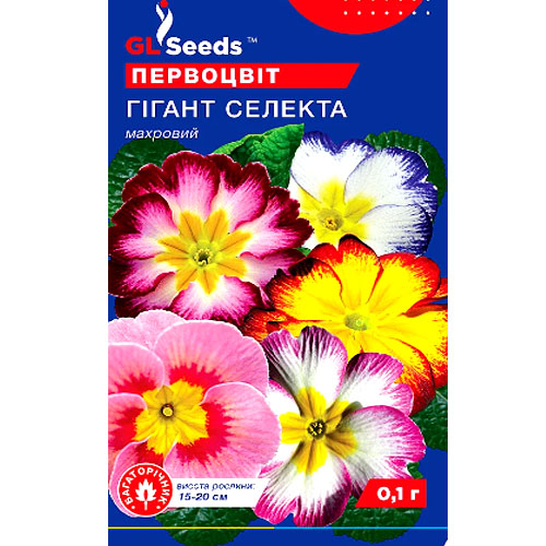 СЕМЕНА ПРИМУЛА ГИГАНТ СЕЛЕКТА, 0,1 Г GL SEEDS