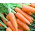 СЕМЕНА МОРКОВЬ ПЕРФЕКЦИЯ 3 Г GL SEEDS СЕМЕНА МОРКОВЬ ПЕРФЕКЦИЯ 3 Г GL SEEDS