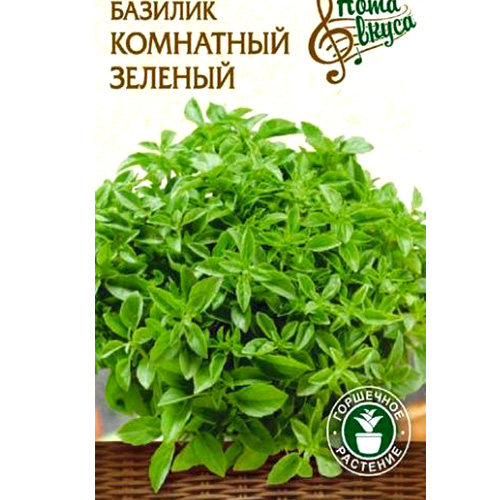 СЕМЕНА БАЗИЛИК КОМНАТНЫЙ ЗЕЛЕНЫЙ, 0,25 Г СЕМЕНА УКРАИНЫ
