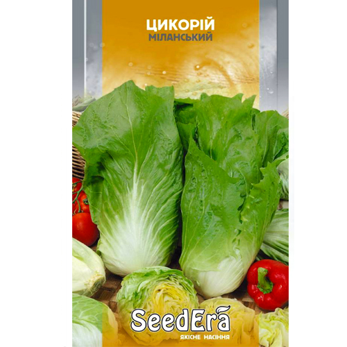 СЕМЕНА ЦИКОРИЙ ЛИСТОВОЙ "МИЛАНСКИЙ", 1 Г SEEDERA