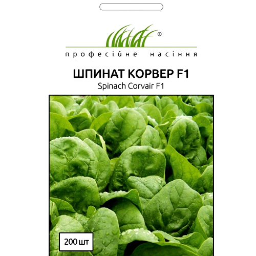 СЕМЕНА ШПИНАТ "КОРВЕР F1", 200 ШТ. ПРОФ. СЕМЕНА