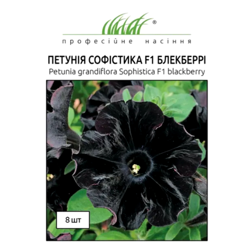 СЕМЕНА ПЕТУНИЯ "СОФИСТИКА ЧЕРНАЯ F1", 8 ШТ. ПРОФ. СЕМЕНА