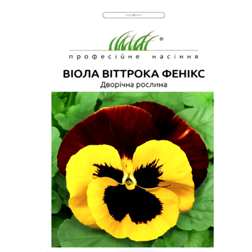 СЕМЕНА ВИОЛА "ФЕНИКС", 20 ШТ ПРОФ. СЕМЕНА