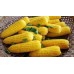 СЕМЕНА КУКУРУЗА "СУПЕРСЛАДКАЯ", 20 Г GL SEEDS