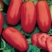 СЕМЕНА ТОМАТ "РЭД ХАНТЕР", 0,15 Г GL SEEDS СЕМЕНА ТОМАТ "РЭД ХАНТЕР", 0,15 Г GL SEEDS