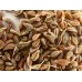 СЕМЕНА АНИС АЖУРНЫЙ, 0,5 Г GL SEEDS