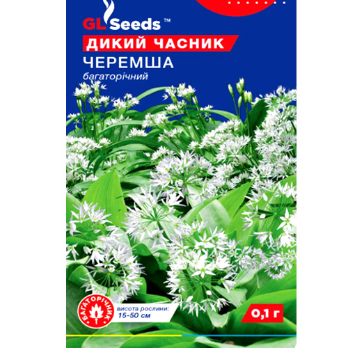 СЕМЕНА ДИКИЙ ЧЕСНОК ЧЕРЕМША, 0,1 Г GL SEEDS