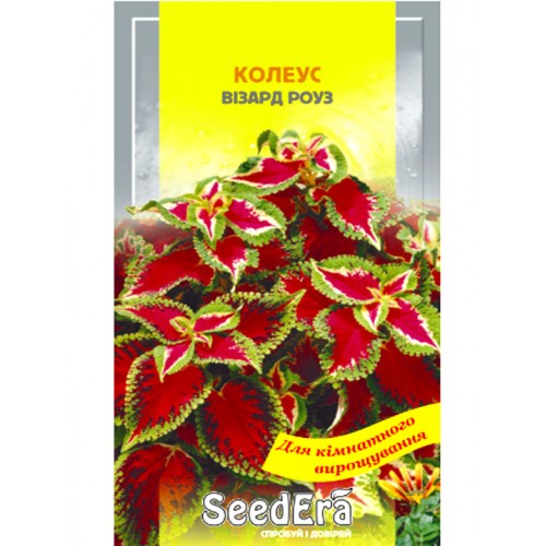 СЕМЕНА КОЛЕУС "ВИЗАРД РОУЗ" 10 ШТ SEEDERA