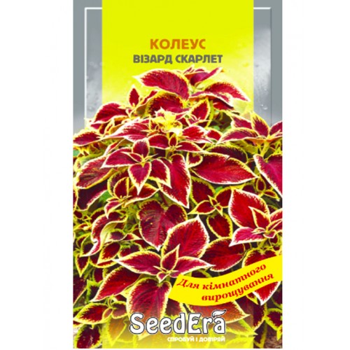 СЕМЕНА КОЛЕУС "ВИЗАРД СКАРЛЕТ", 10 ШТ SEEDERA