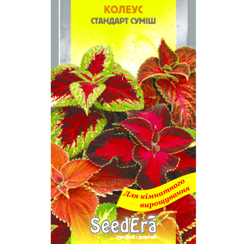 СЕМЕНА КОЛЕУС "СТАНДАРТ СМЕСЬ" 10 ШТ SEEDERA