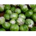 СЕМЕНА КАПУСТА БРЮССЕЛЬСКАЯ "ГЕРКУЛЕС" 1 Г GL SEEDS