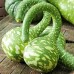 СЕМЕНА ЛАГЕНАРИЯ "КОБРА" 1 Г SEEDERA СЕМЕНА ЛАГЕНАРИЯ "КОБРА" 1 Г SEEDERA