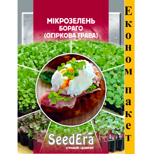 СЕМЕНА МИКРОЗЕЛЕНЬ "БОРАГО" (ОГУРЕЧНАЯ ТРАВА), 10 Г SEEDERA