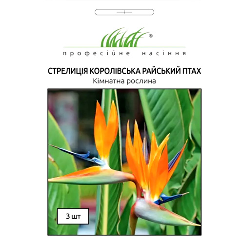 СЕМЕНА СТРЕЛИЦИЯ КОРОЛЕВСКАЯ "РАЙСКАЯ ПТИЦА", 3 ШТ ПРОФ СЕМЕНА