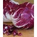 СЕМЕНА САЛАТ "ПАЛА РОССА", 1 Г GL SEEDS СЕМЕНА САЛАТ "ПАЛА РОССА", 1 Г GL SEEDS