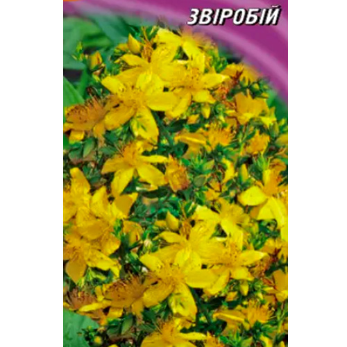 СЕМЕНА ЗВЕРОБОЙ, 0,2 Г ГЕЛИОС 