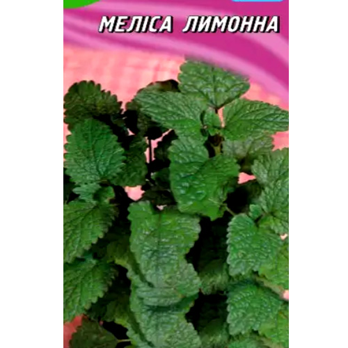 СЕМЕНА МЕЛИССА ЛИМОННАЯ, 200 ШТ ГЕЛИОС