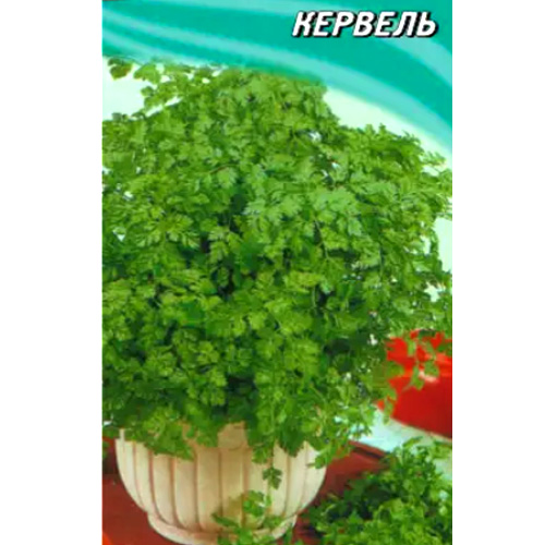 СЕМЕНА КЕРВЕЛЬ КУДРЯВЫЙ, 0,5 Г ГЕЛИОС