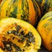 СЕМЕНА ТЫКВА "УКРАИНСКАЯ МНОГОПЛОДНАЯ", 20 ШТ ГЕЛИОС