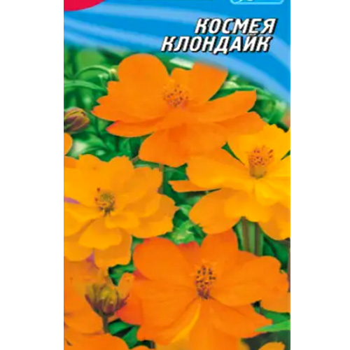 СЕМЕНА КОСМЕЯ "КЛОНДАЙК", 0,8 Г ГЕЛИОС