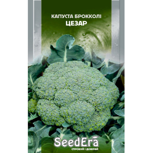 СЕМЕНА КАПУСТА БРОККОЛИ "ЦЕЗАРЬ", 0,3 Г SEEDERA