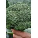 СЕМЕНА КАПУСТА БРОККОЛИ "ЦЕЗАРЬ", 0,3 Г SEEDERA