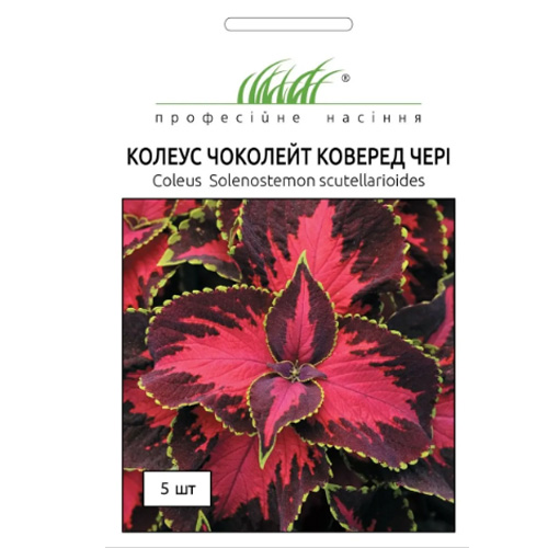 СЕМЕНА КОЛЕУС "САН ЧОКОЛЕЙТ КОВЕРЕД", 10 ШТ ПРОФ СЕМЕНА