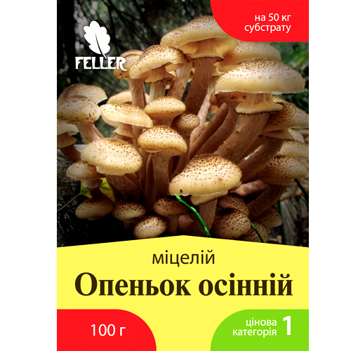 МИЦЕЛИЙ СУХОЙ ЗЕРНОВОЙ ОПЕНОК ОСЕННИЙ, 100 Г