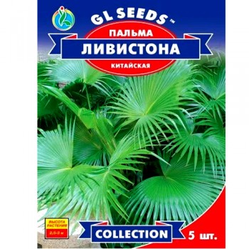 СЕМЕНА ПАЛЬМА ЛИВИСТОНА, 5 ШТ GL SEEDS