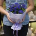 СЕМЕНА СТАТИЦА "СИНЯЯ РЕКА", 0,1 Г ПРОФ СЕМЕНА