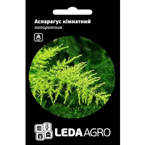 СЕМЕНА АСПАРАГУС КОМНАТНЫЙ, 5 ШТ. LEDAAGRO