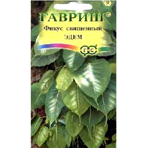 СЕМЕНА ФИКУС "ЭДЕМ", 0,03 Г ГАВРИШ