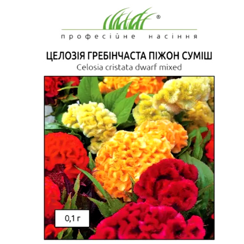 СЕМЕНА ЦЕЛОЗИЯ "ПИЖОН", 0,1 Г GL SEEDS