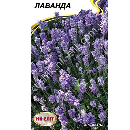 СЕМЕНА ЛАВАНДА 0,1 Г НК ЭЛИТ